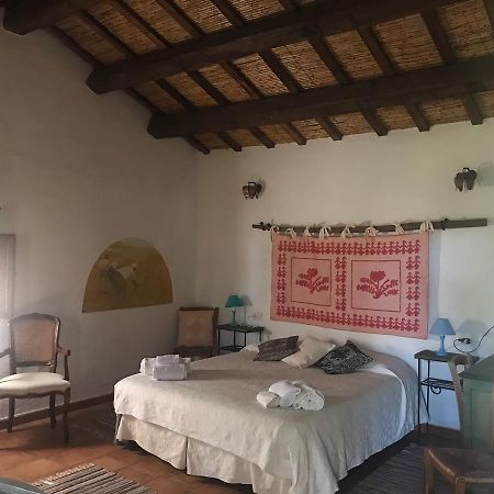 Agriturismo Il Muto Di Gallura Aggius Exterior foto