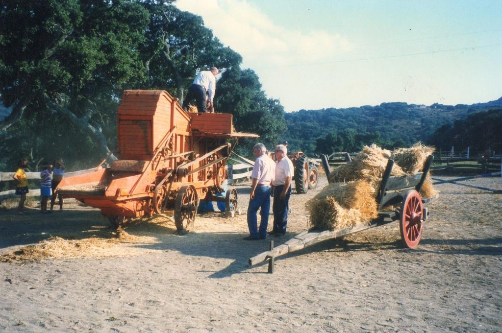 Agriturismo Il Muto Di Gallura Aggius Exterior foto