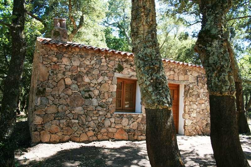 Agriturismo Il Muto Di Gallura Aggius Habitación foto